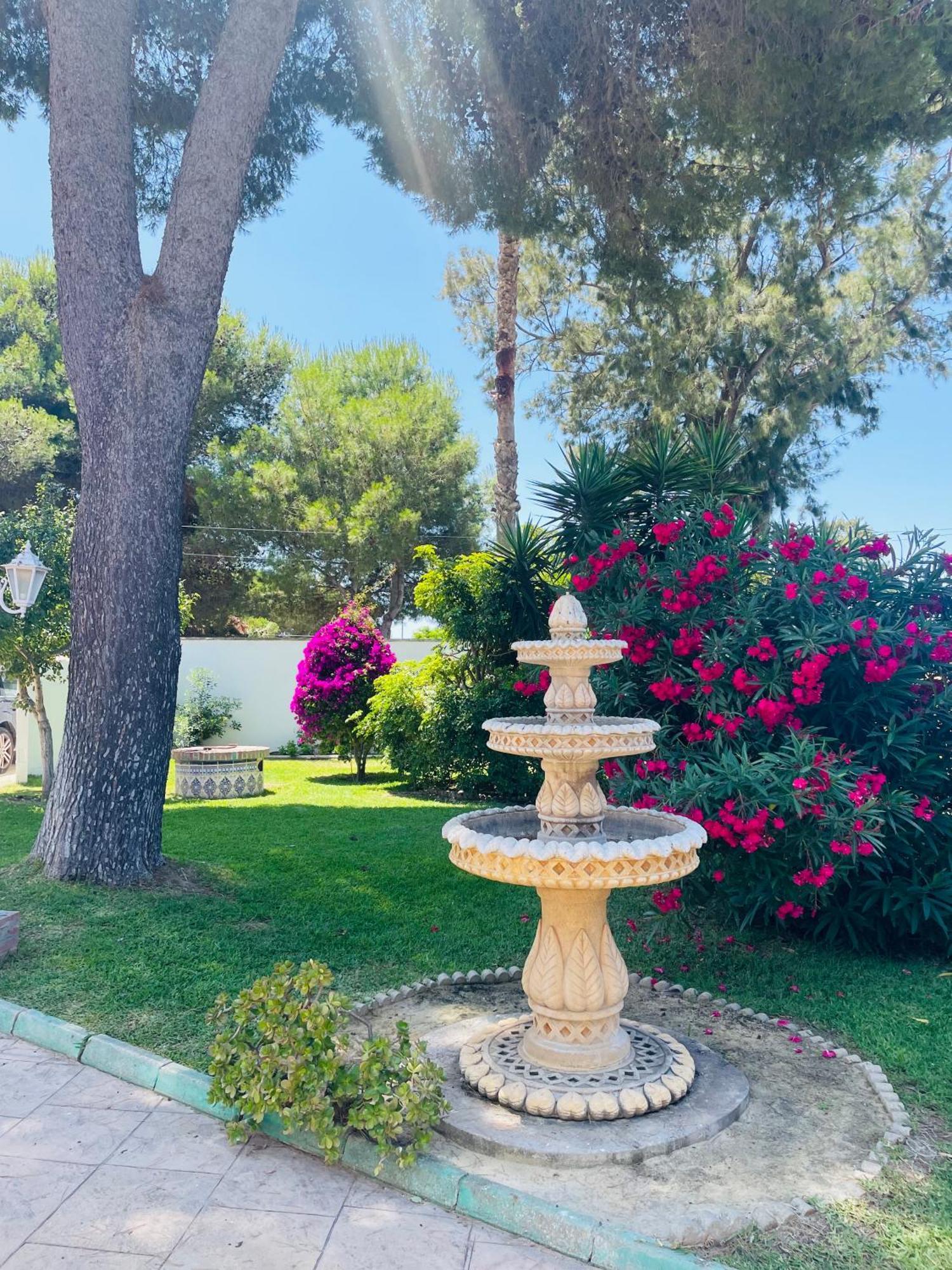 Brisa Home Chiclana de la Frontera Dış mekan fotoğraf